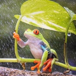 Meet your Posher, Heidi